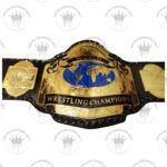 Buy NWA World Tag Team Championship Replica Belt