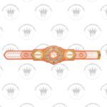 Clemson Tigers WWE Legacy Title Belt