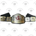 NWA World Tag Team Championship Replica Belt | Premium Quality - Image 2