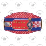Detroit Pistons NBA Championship Belt | Premium Replica - Image 4