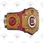 South Carolina Gamecocks WWE Legacy Title Belt - Image 3