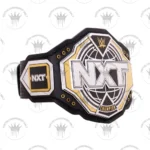 WWE NXT Championship 2024 Replica Title Belt - Image 3
