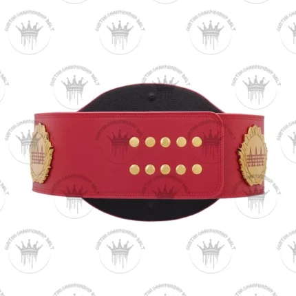 AAA World Mixed Tag Team Championship Replica Title Belt