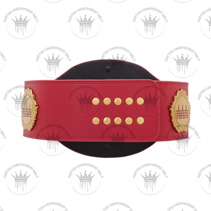 AAA World Mixed Tag Team Championship Replica Title Belt