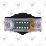 Michigan State Spartans WWE Legacy Title Belt - Image 4