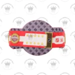 Detroit Red Wings WWE Legacy Title Belt