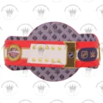 Florida Panthers WWE Legacy Title Belt