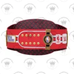 Chicago Bulls WWE Legacy Title Belt - Image 4