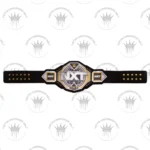 WWE NXT Championship 2024 Replica Title Belt - Image 5