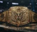 Roman Reigns Championship Belt