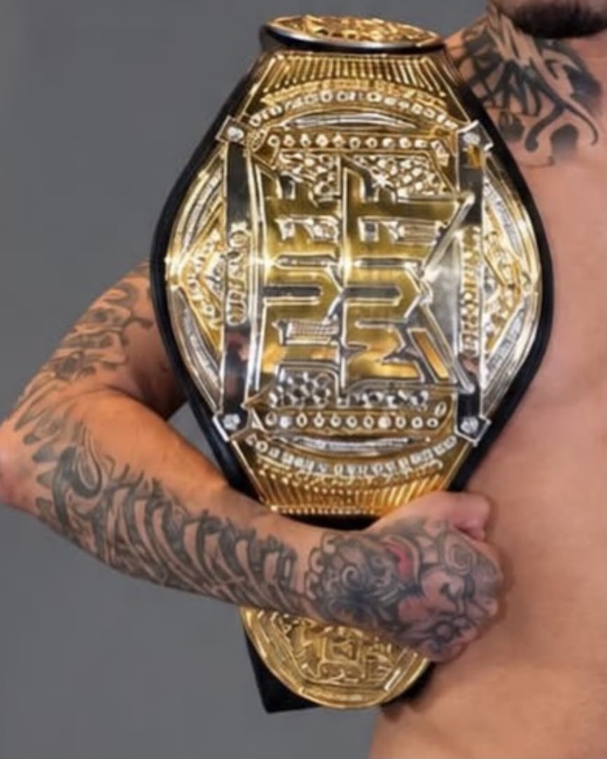 e9523be9-fc13-42f5-a5d1-c33ac9bf3495 TUFF N UFF Championship 2 Layer Title Belt 4MM - Image 1